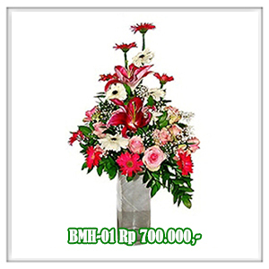 BMH-01 700RB