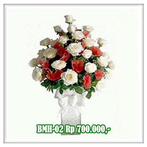 BMH-02 700RB