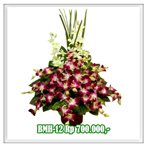 BMH-12 700RB