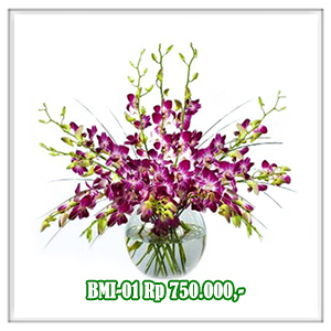 BMI-01 750RB