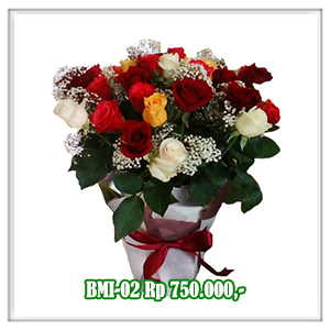BMI-02 750RB