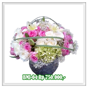 BMI-04 750RB