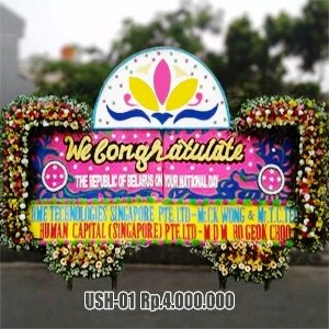 ush-01-2x4m-4jt