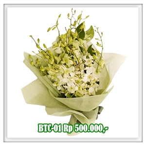 BTC-01 500RB