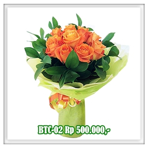 BTC-02 500RB