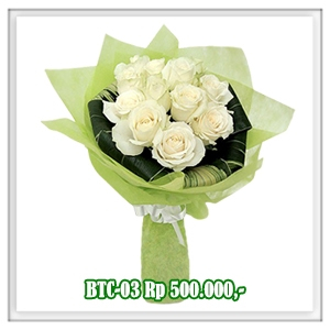 BTC-03 500RB