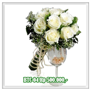 BTC-04 500RB