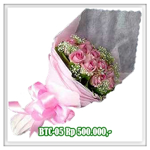 BTC-05 500RB