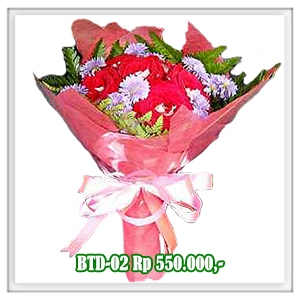 BTD-02 550RB