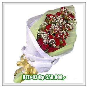 BTD-03 550RB