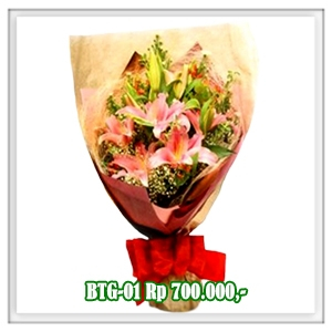 BTG-01 700RB
