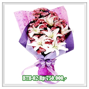 BTH-02 750RB
