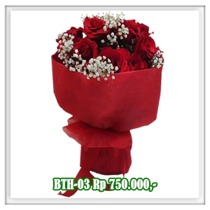 BTH-03 750RB