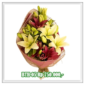 BTH-05 750RB