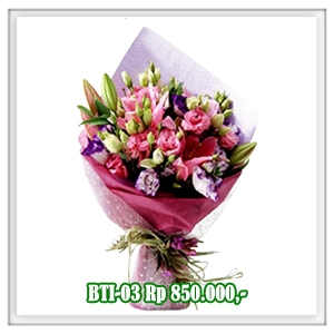 BTI-03 850RB