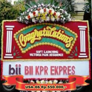 USA-06 Rp.550.000,-