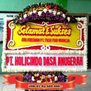 USB-01 Rp.600.000,-