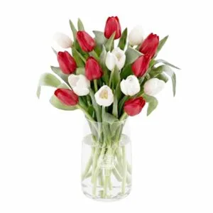 bunga-meja-tulip-bmt-05